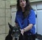 acupuncture treatment for dogs